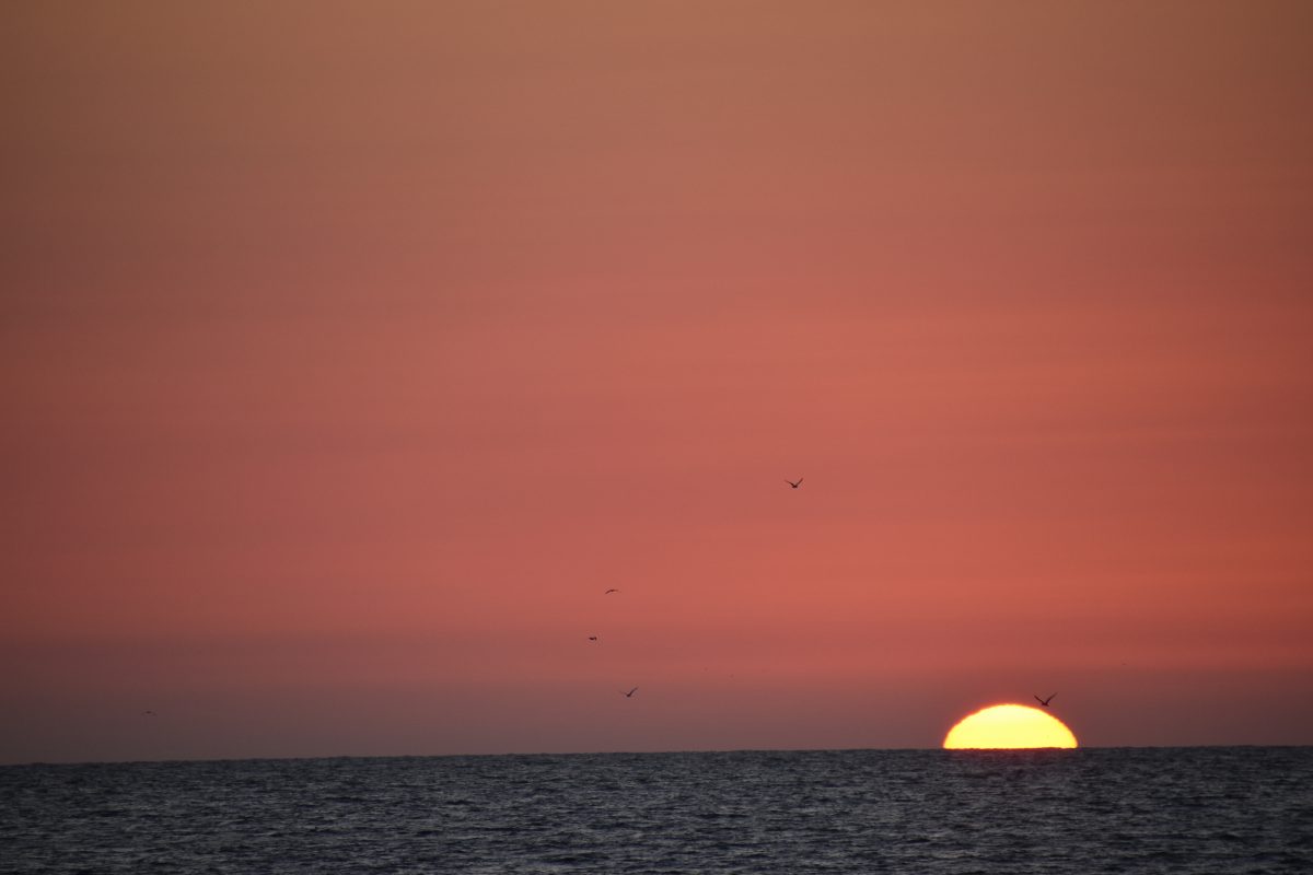 Zonsondergang Vlieland, Zon, Zonsondergang, vlieland